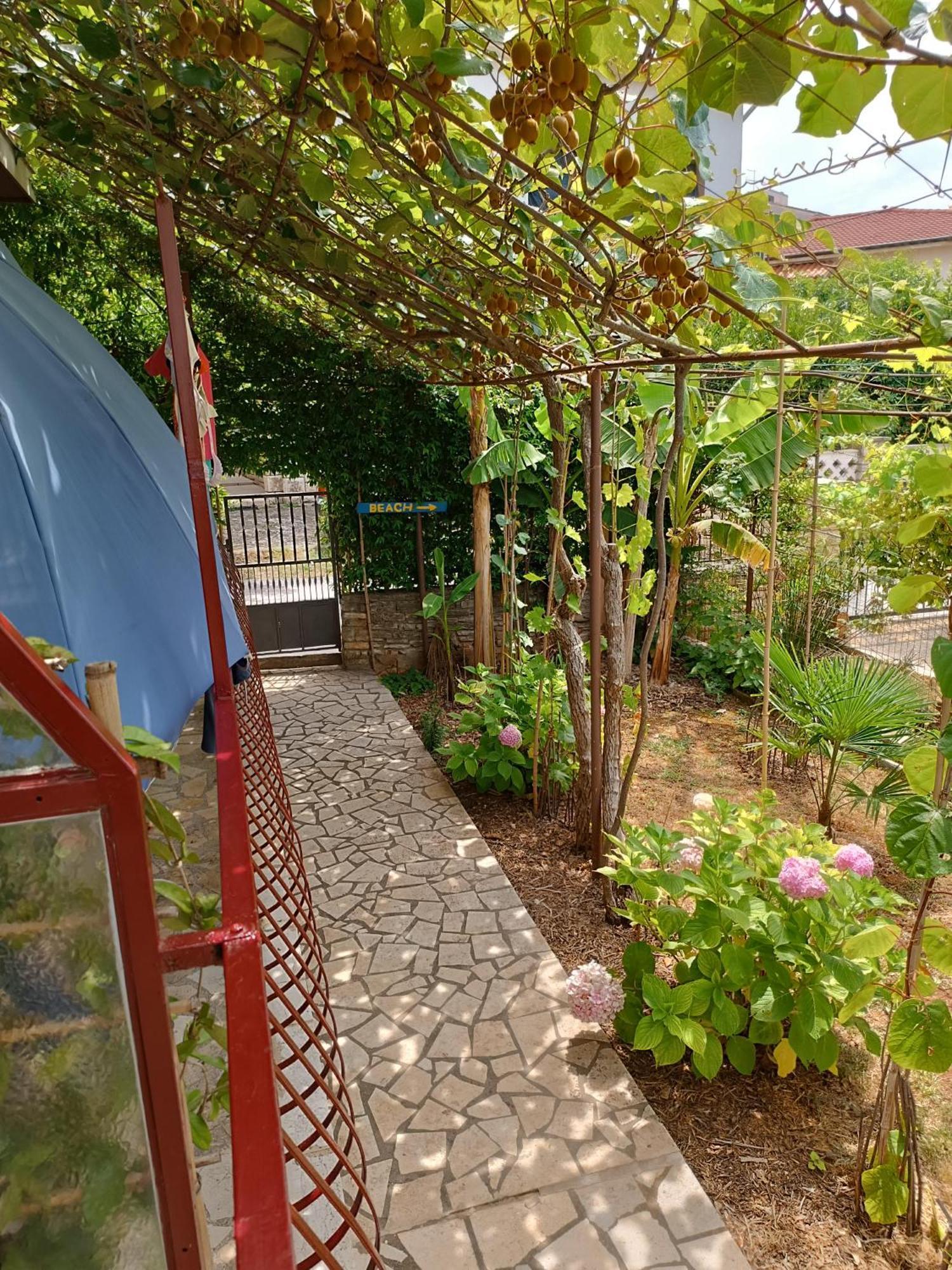 Levak Apartments - Apt. 2 Пиешчана Увала Екстериор снимка
